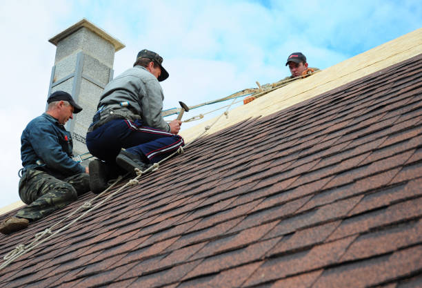 Best Gutter Installation and Roofing  in Somerset, MD
